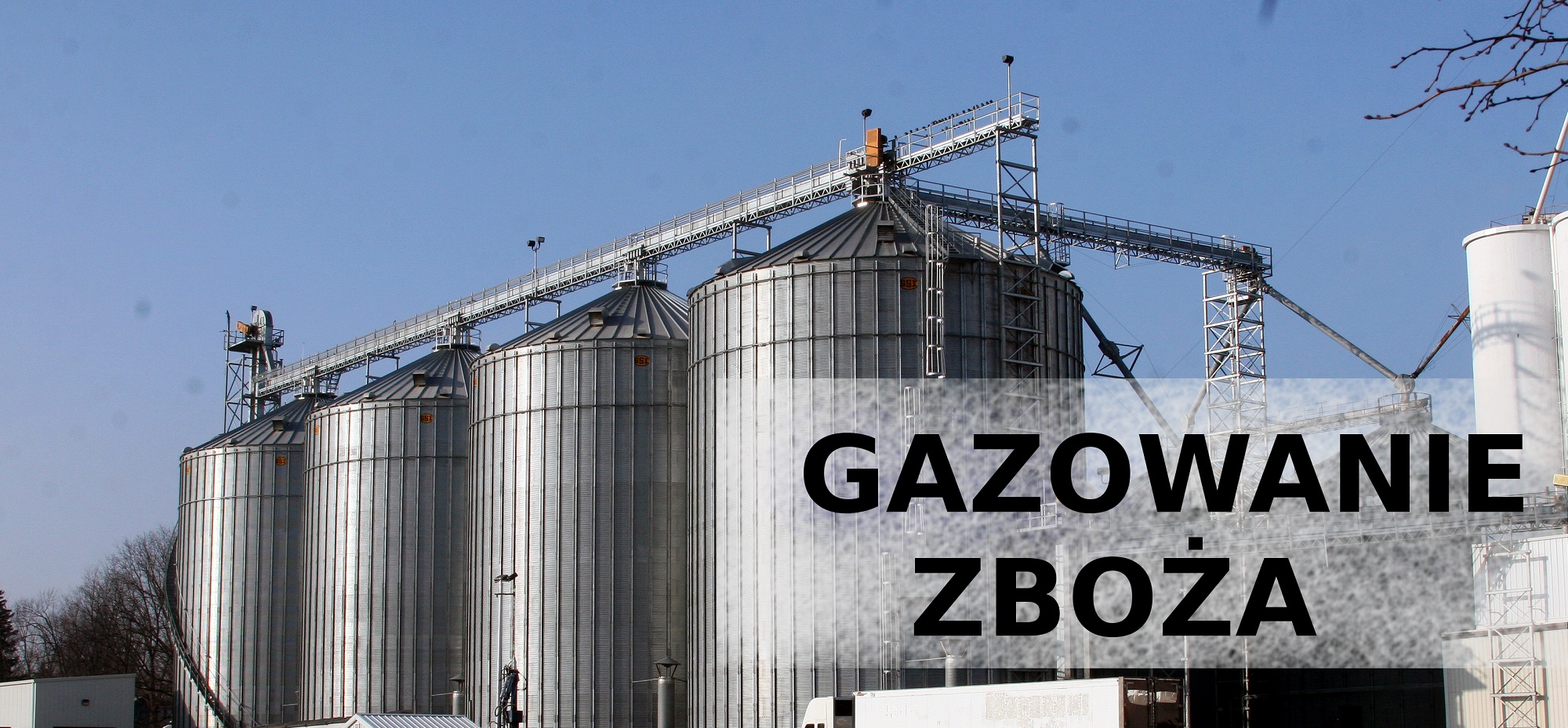 Gazowanie Zboża